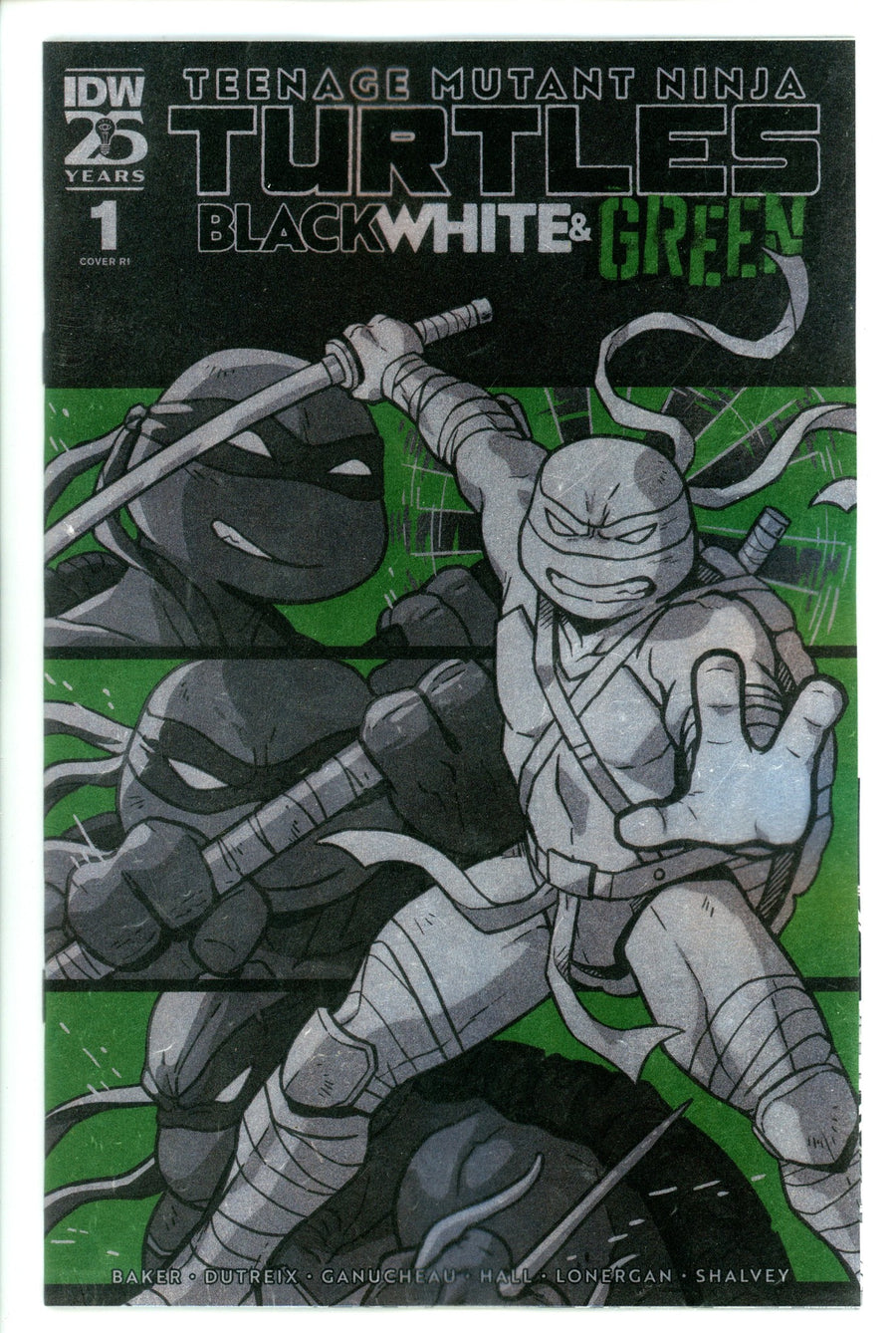 Teenage Mutant Ninja Turtles: Black White, And Green  1 Ganucheau  Foil Incentive Variant NM+  (2024)
