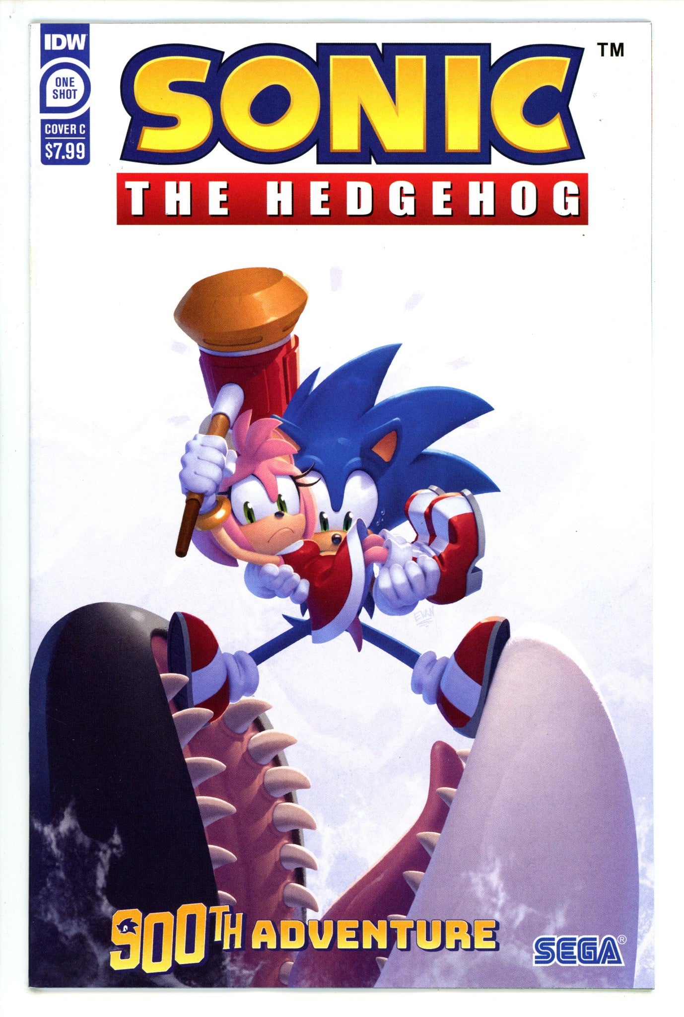Sonic The Hedgehogs 900th Adventure 1 Stanley Variant (2023)