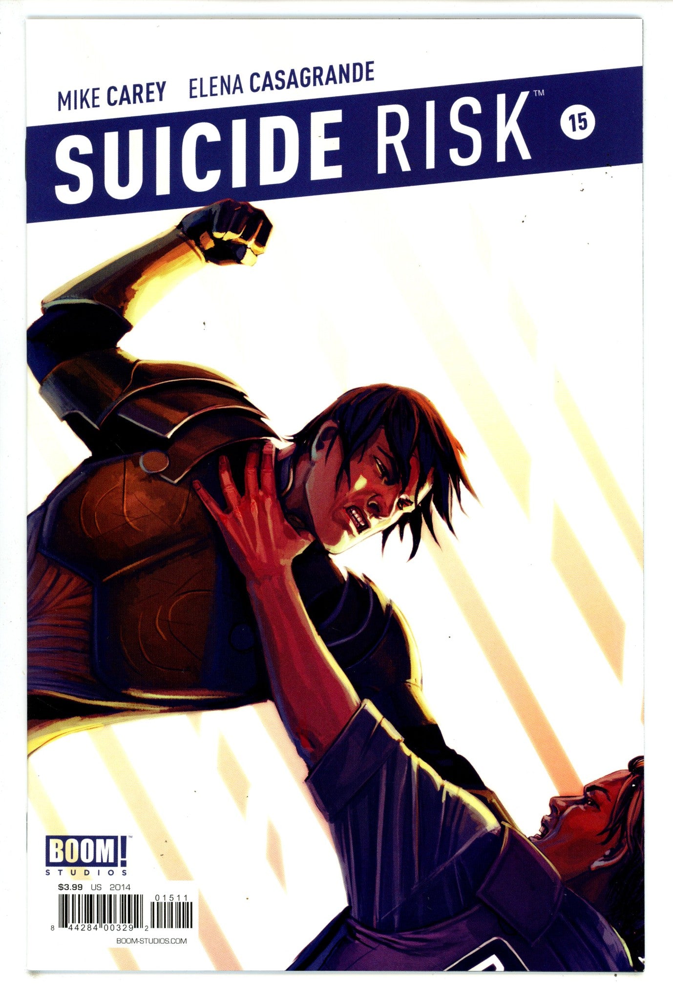 Suicide Risk 15 High Grade (2014)