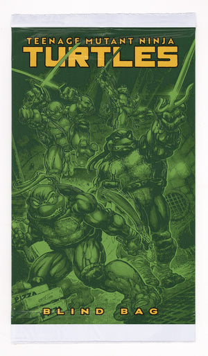 Teenage Mutant Ninja Turtles Vol 6 13 Sealed Variant (2025)
