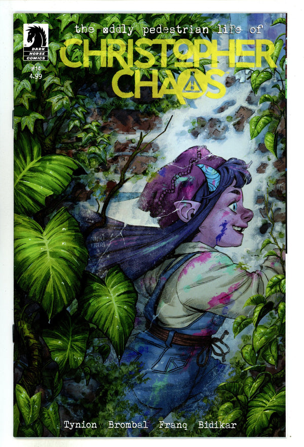 Oddly Pedestrian Life Of Christopher Chaos 14 Franquiz Variant (2024)