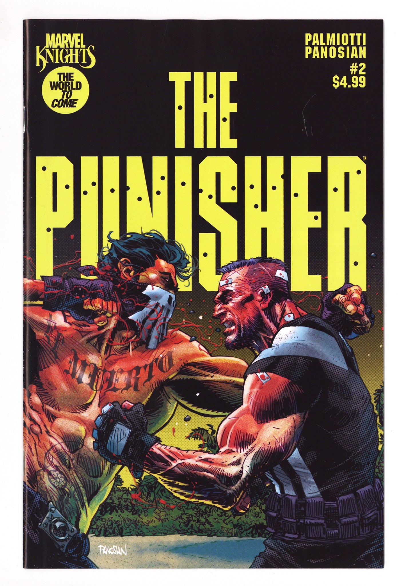 Marvel Knights: Punisher 2 (2025)