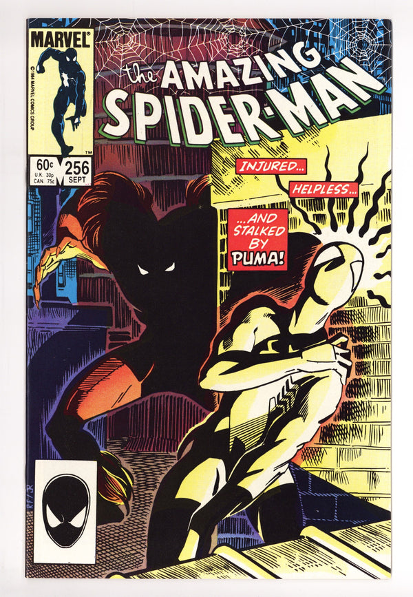 The Amazing Spider-Man Vol 1 256 VF (8.0) (1984)