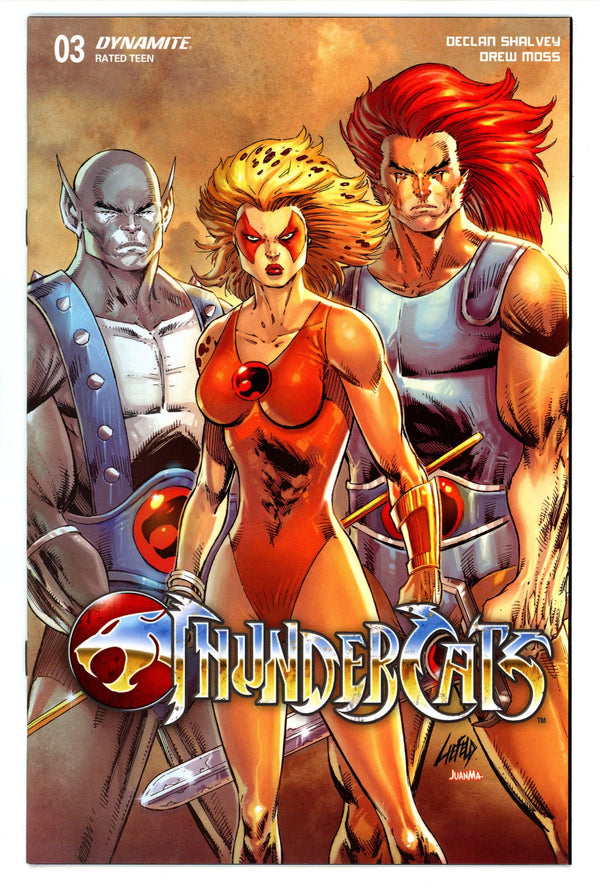 Thundercats 3 Liefeld Variant (2024)