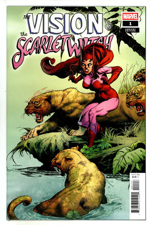 Vision & The Scarlet Witch Vol 3 1 Plunkett Incentive Variant VF/NM (2025)