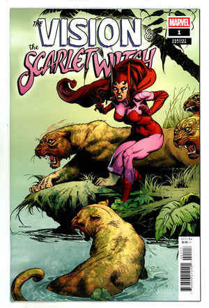 Vision & The Scarlet Witch Vol 3 1 Plunkett Incentive Variant NM- (2025)