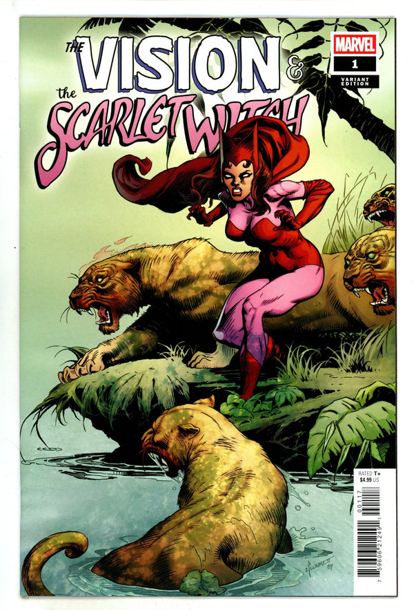 Vision & The Scarlet Witch Vol 3 1 Plunkett Incentive Variant NM- (2025)