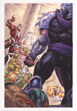 Mighty Morphin Power Rangers / Teenage Mutant Ninja Turtles III 3 Ii Virgin Variant (2025)