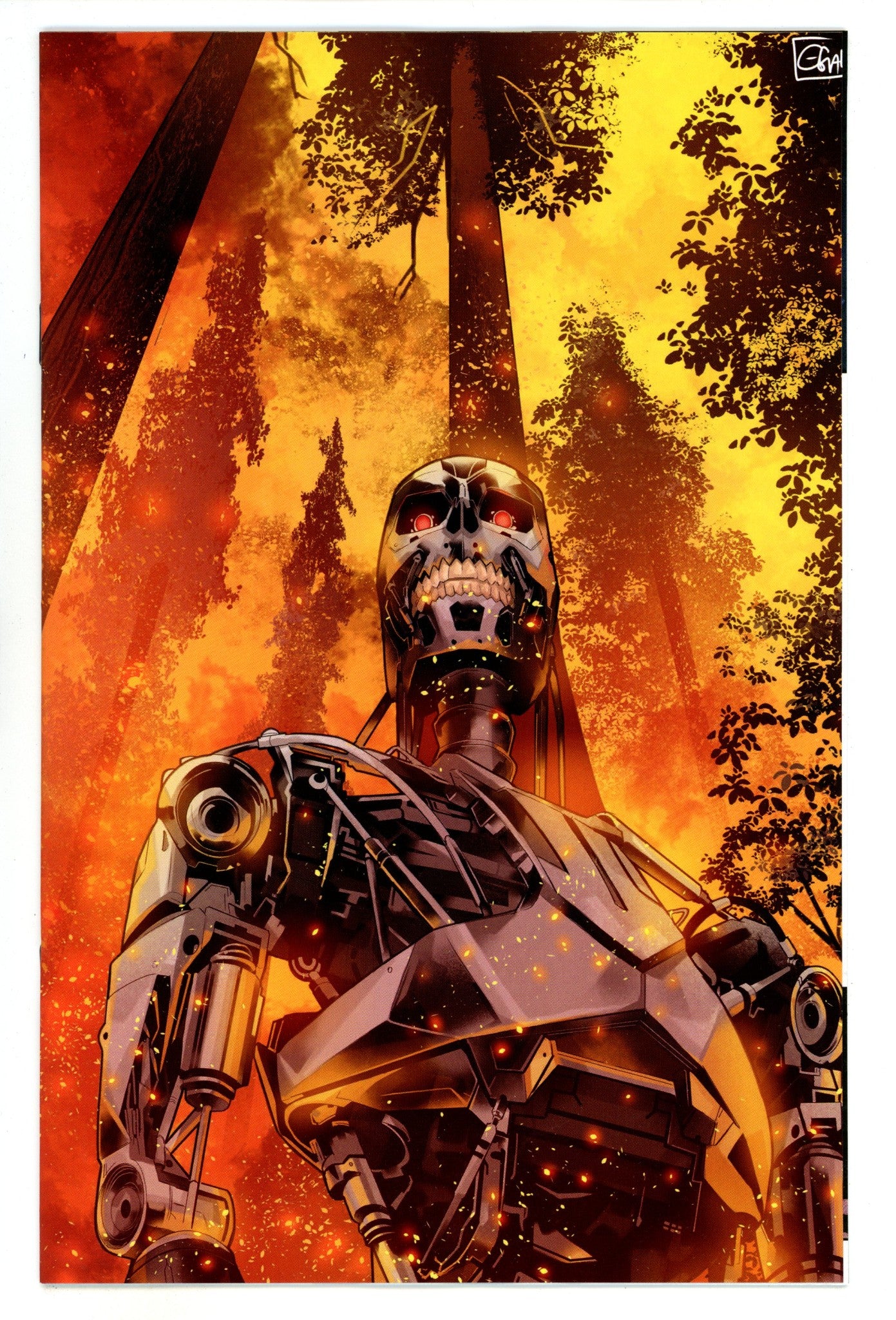 Terminator 1 Swaby Virgin Incentive Variant NM (2024)