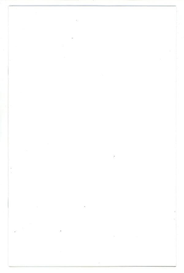 Thundercats Cheetara 1 Orange Blank Variant (2024)