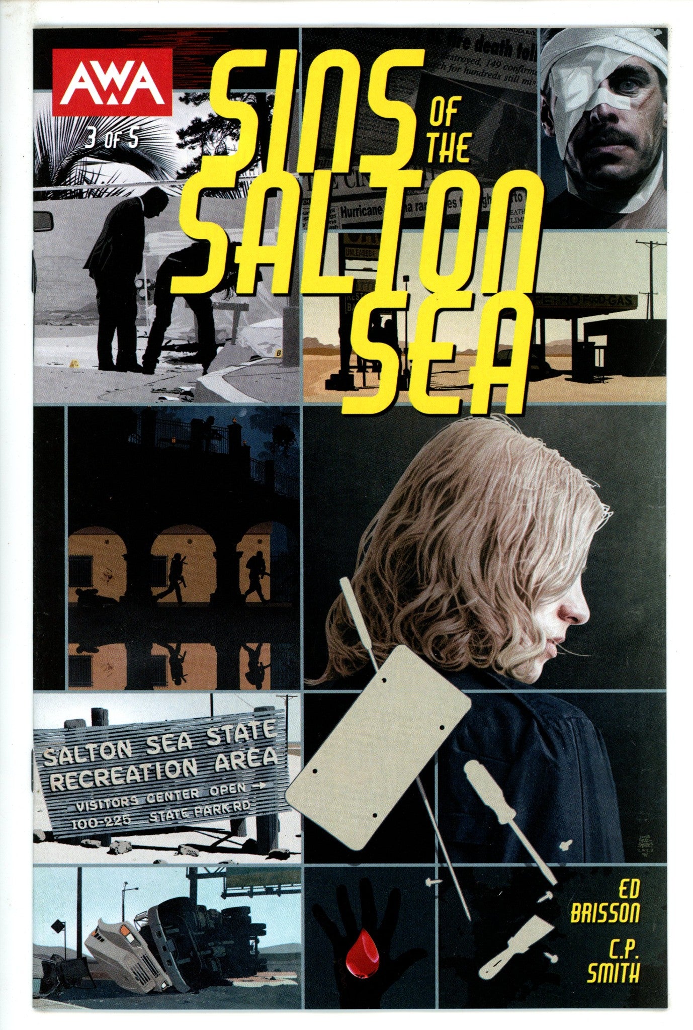 Sins Of The Salton Sea 3 Martinbrough Variant (2023)