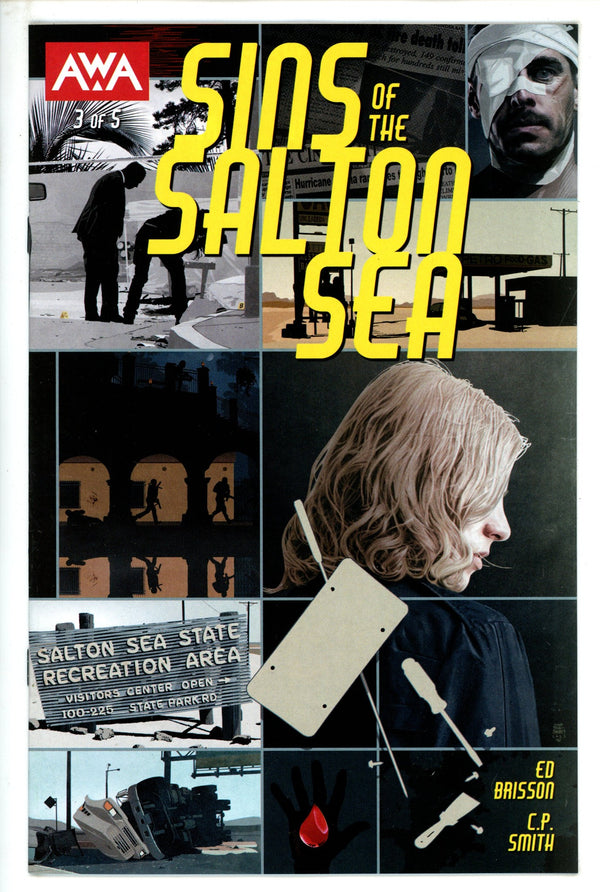 Sins Of The Salton Sea 3 Martinbrough Variant (2023)