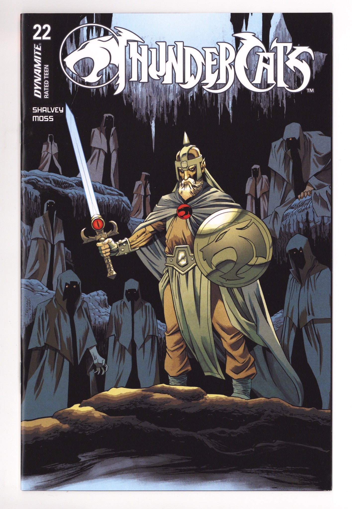 Thundercats 22 Shalvey Variant (2025)