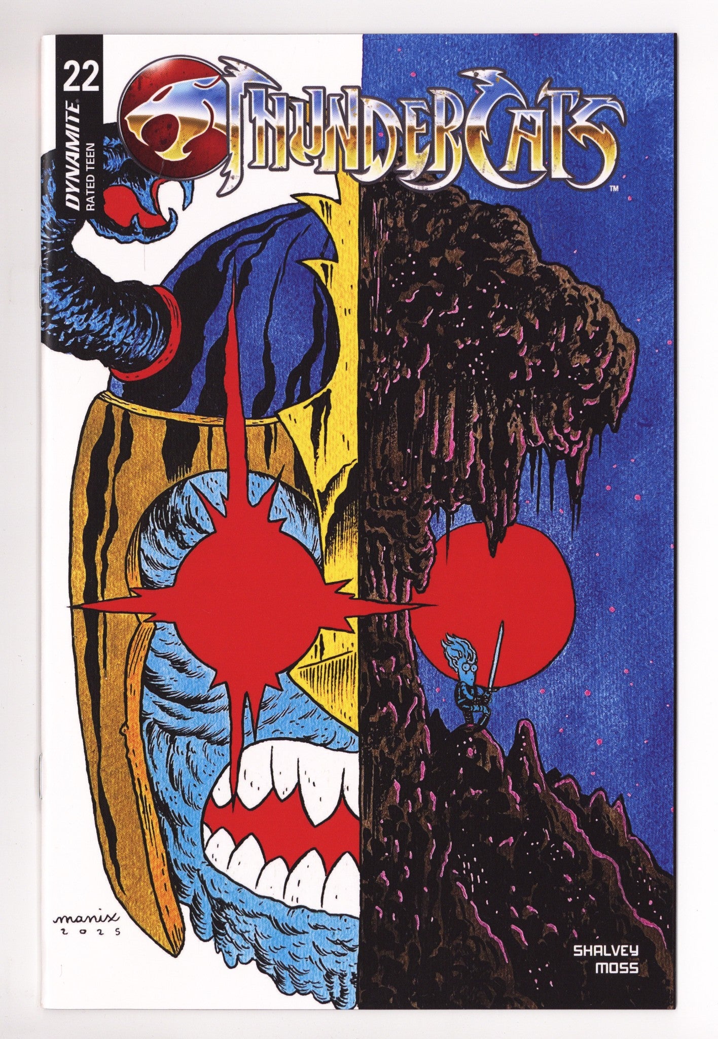 Thundercats 22 Abrera Variant (2025)