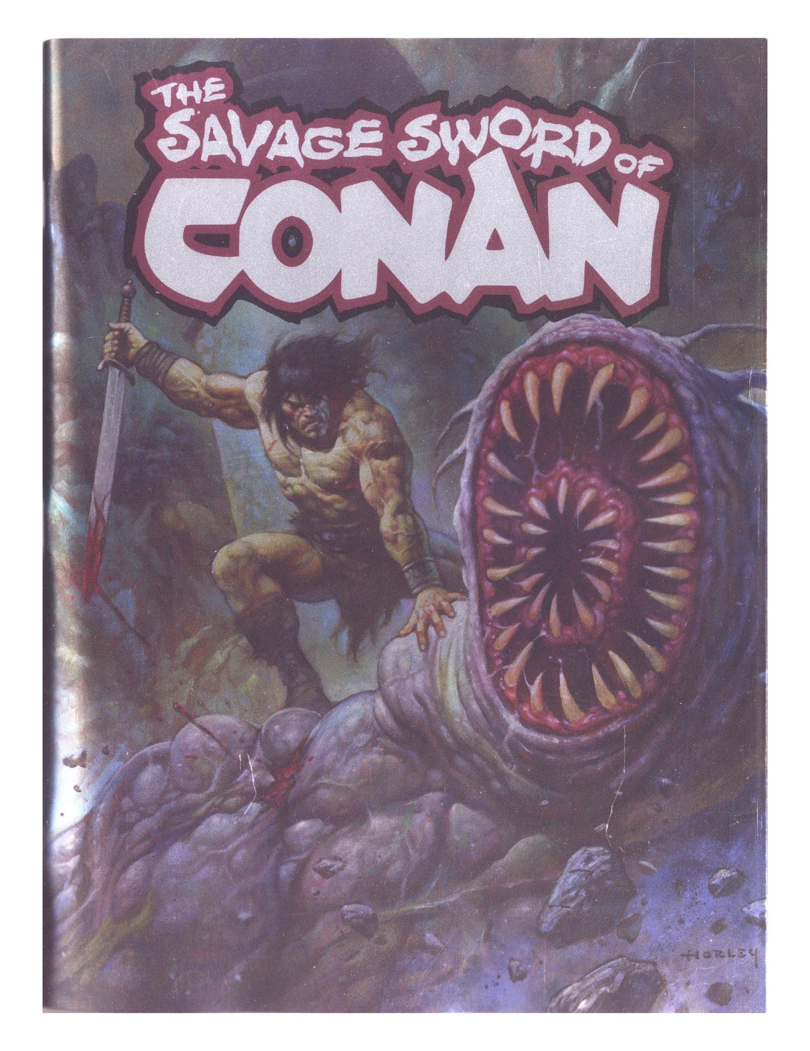Savage Sword Of Conan 14 Horley Foil Variant (2026)