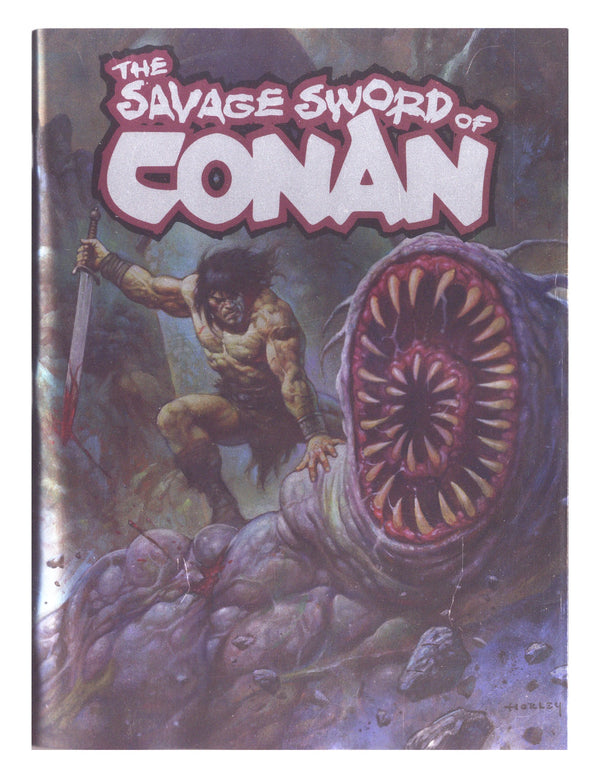 Savage Sword Of Conan 14 Horley Foil Variant (2026)