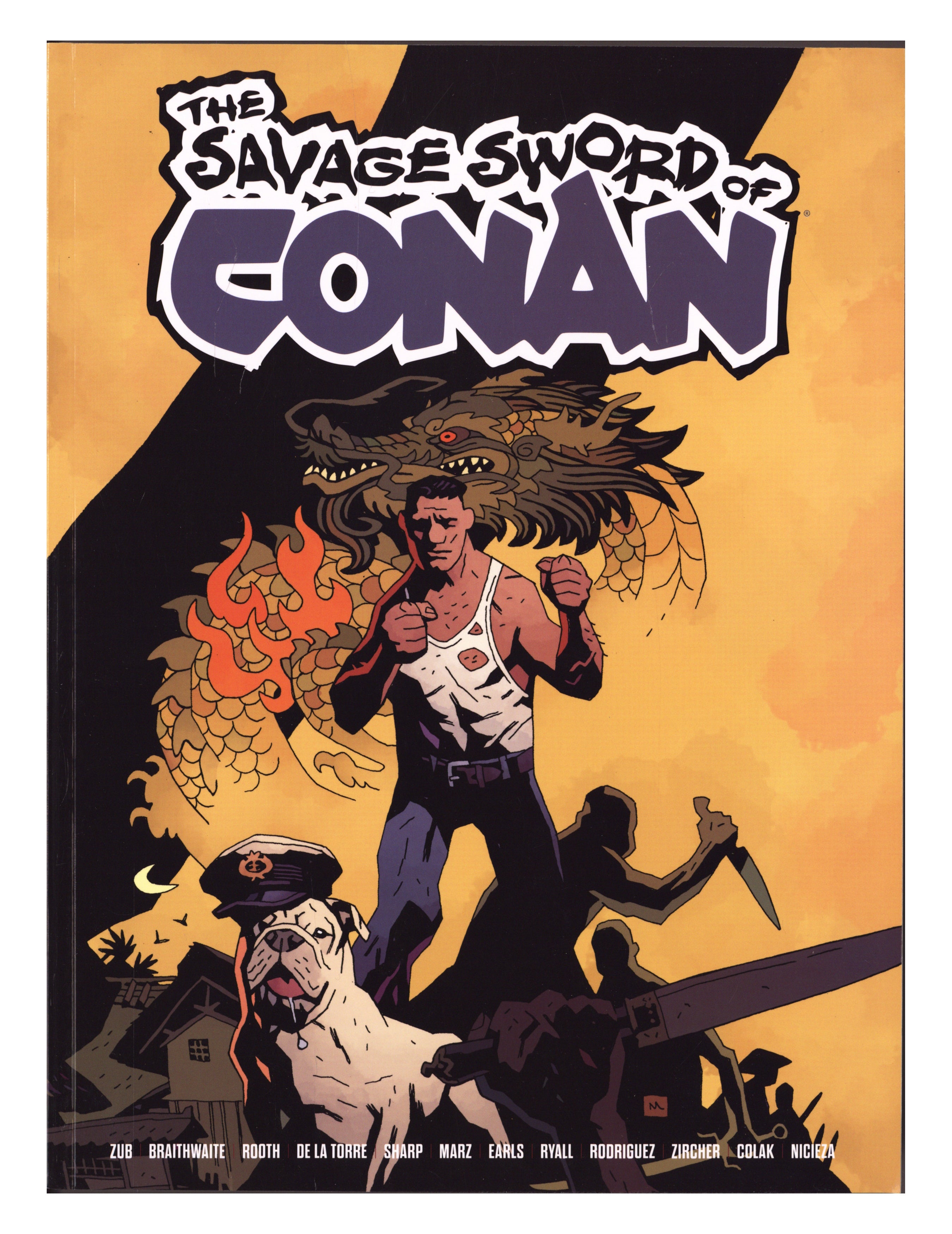 Savage Sword Of Conan Vol 4 TPB (2026)