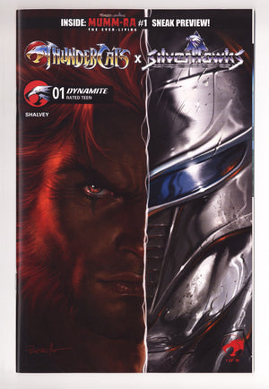 Thundercats X Silverhawks 1 Parrillo Variant (2026)