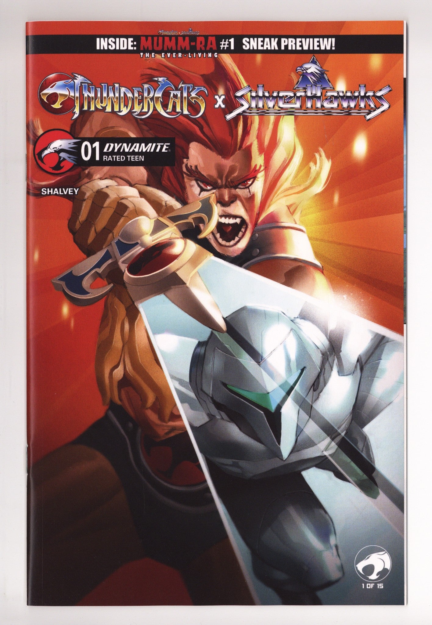 Thundercats X Silverhawks 1 Canete Variant (2026)