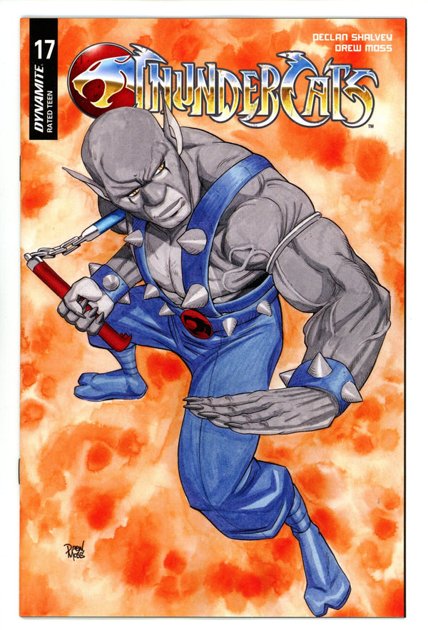 Thundercats 17 Moss Variant (2025)