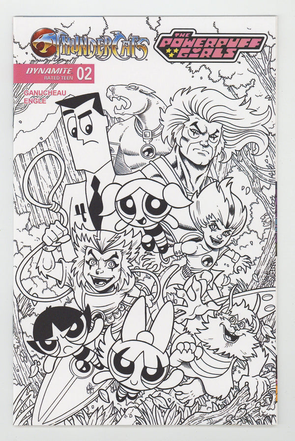 Thundercats Powerpuff Girls 2 Haeser B&W Incentive (2025)