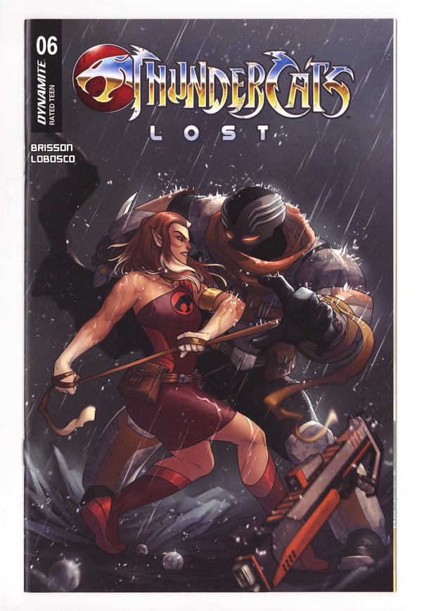 Thundercats Lost 6 Hetrick Variant (2025)