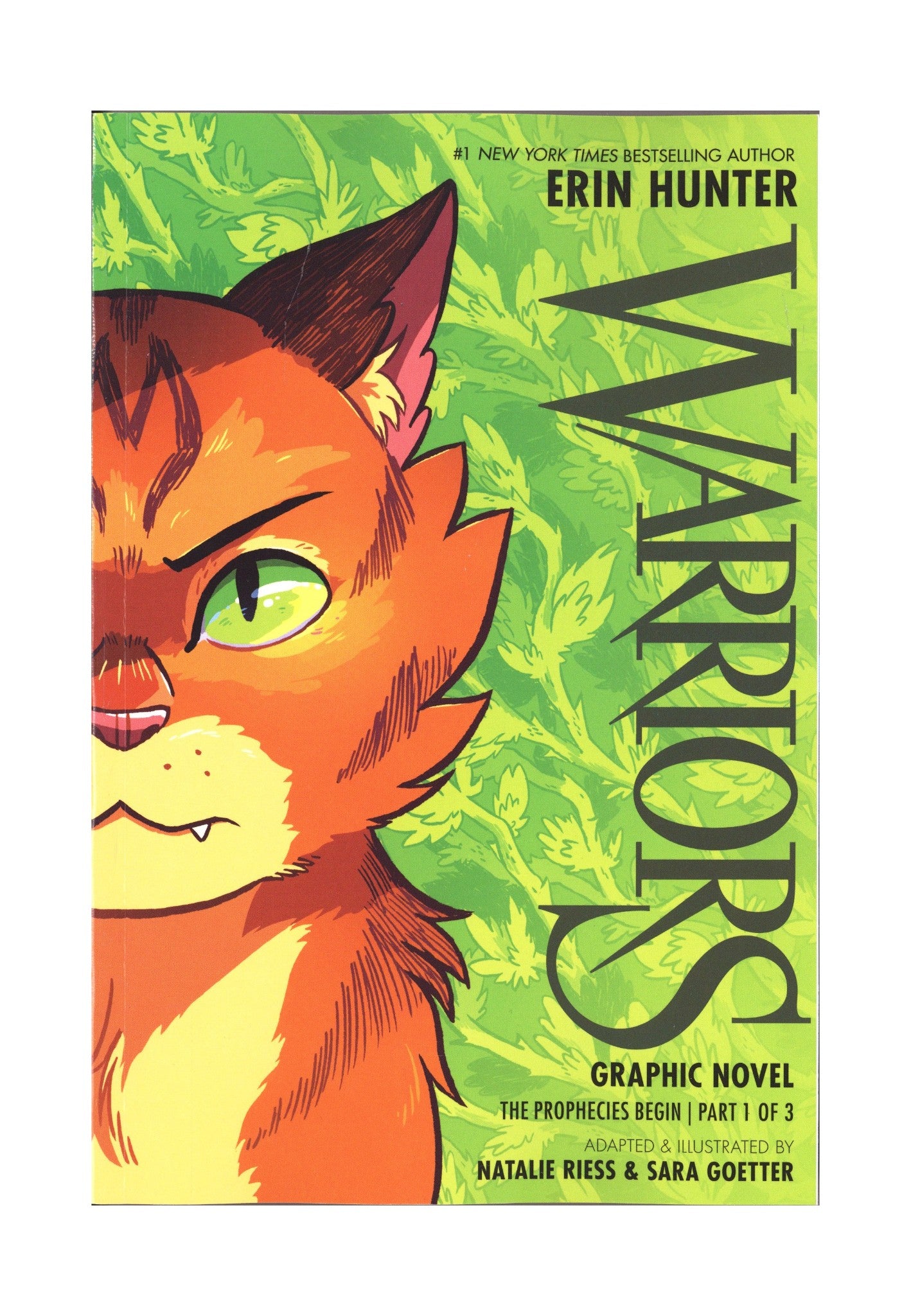 Warriors Graphic Novel The Prophecies Begin Vol 1 TPB (2026)