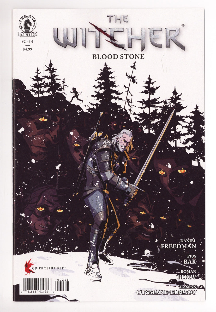 The Witcher: Blood Stone 2 (2026)