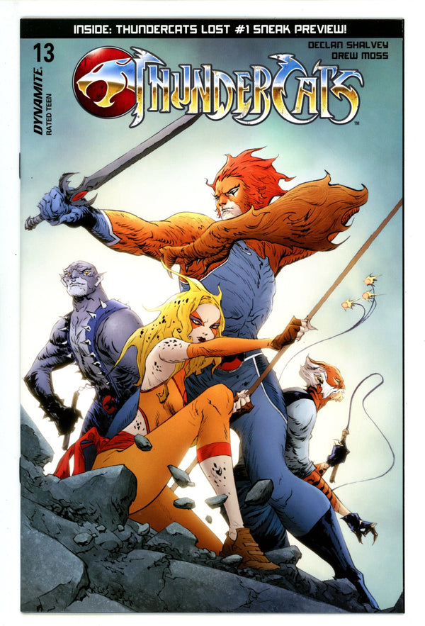 Thundercats 13 Lee Variant (2025)