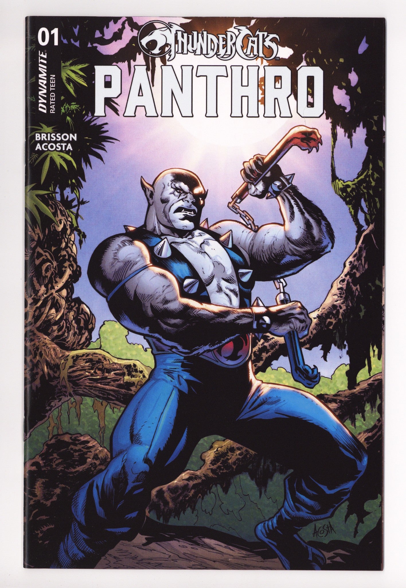 Thundercats Panthro 1 (2025)