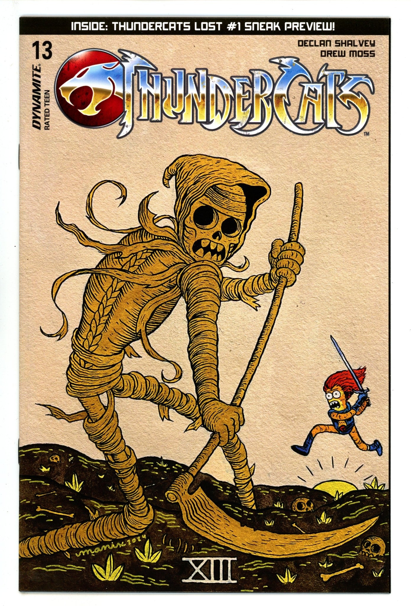 Thundercats 13 Abrera Variant (2025)