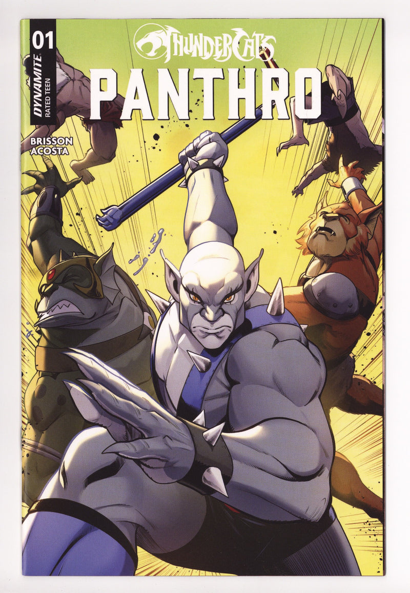 Thundercats Panthro 1 Quinn Variant (2025)