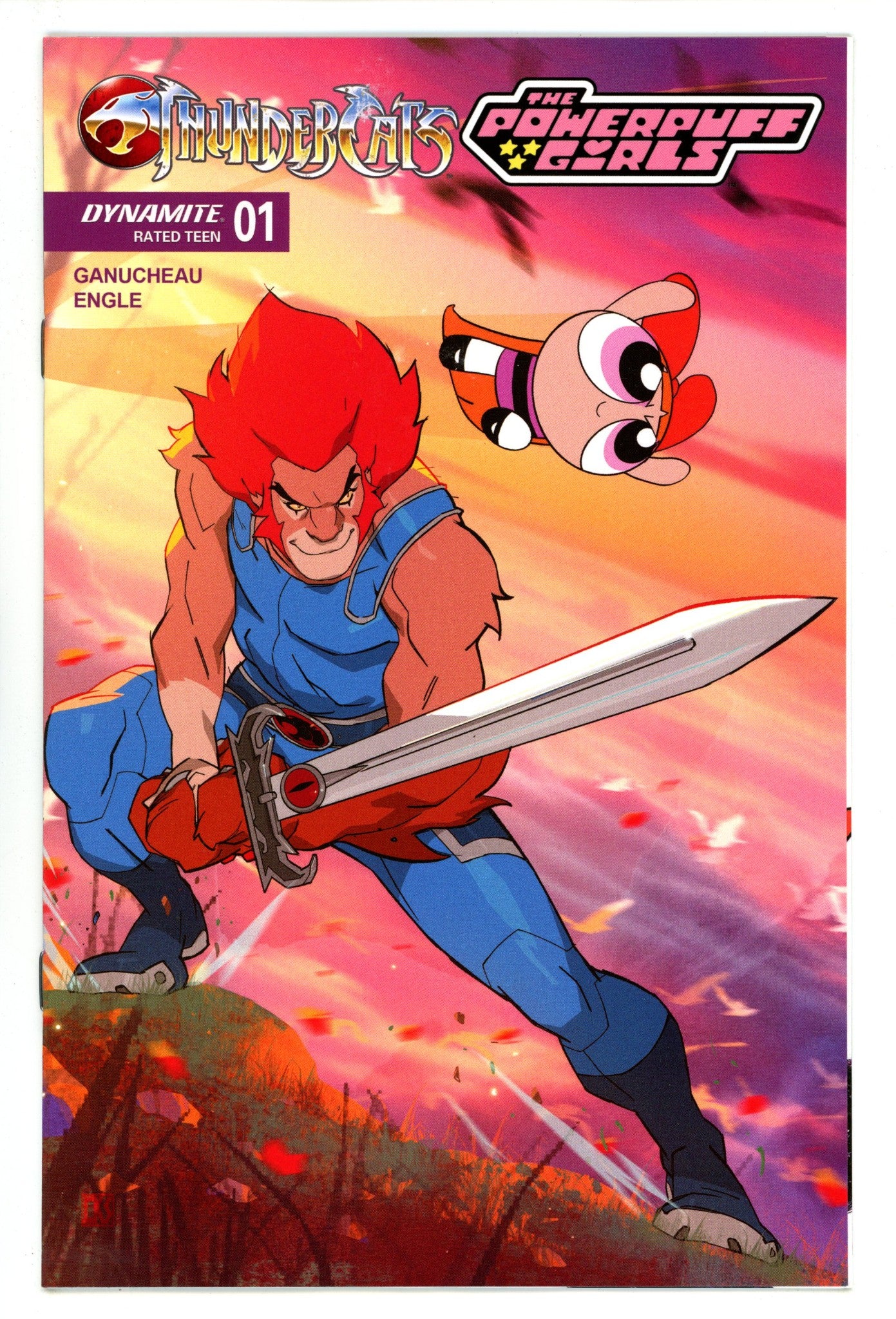 Thundercats Powerpuff Girls 1 Stone Variant (2025)