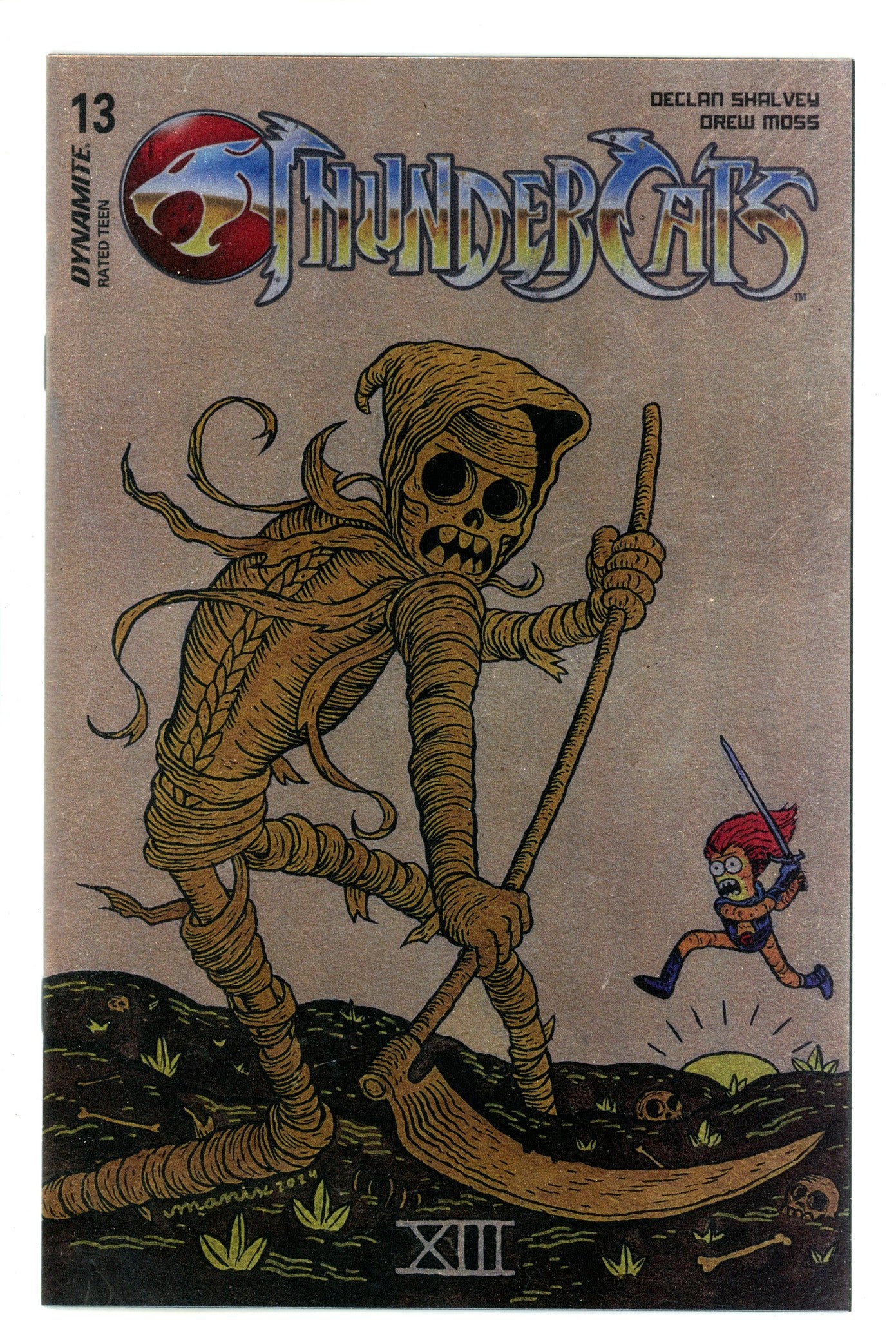 Thundercats 13 Abrera Foil Variant (2025)