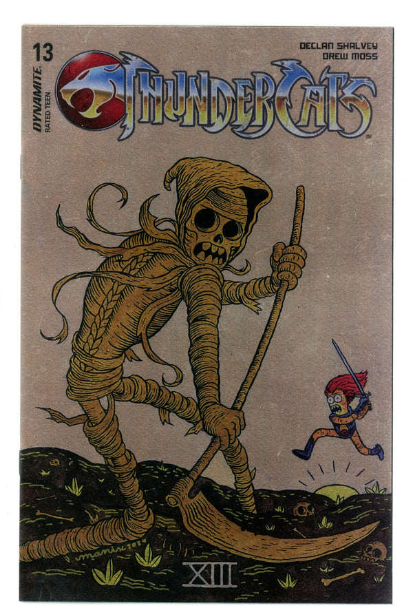 Thundercats 13 Abrera Foil Variant (2025)