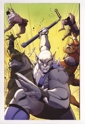 Thundercats Panthro 1 Quinn Virgin Incentive (2025)