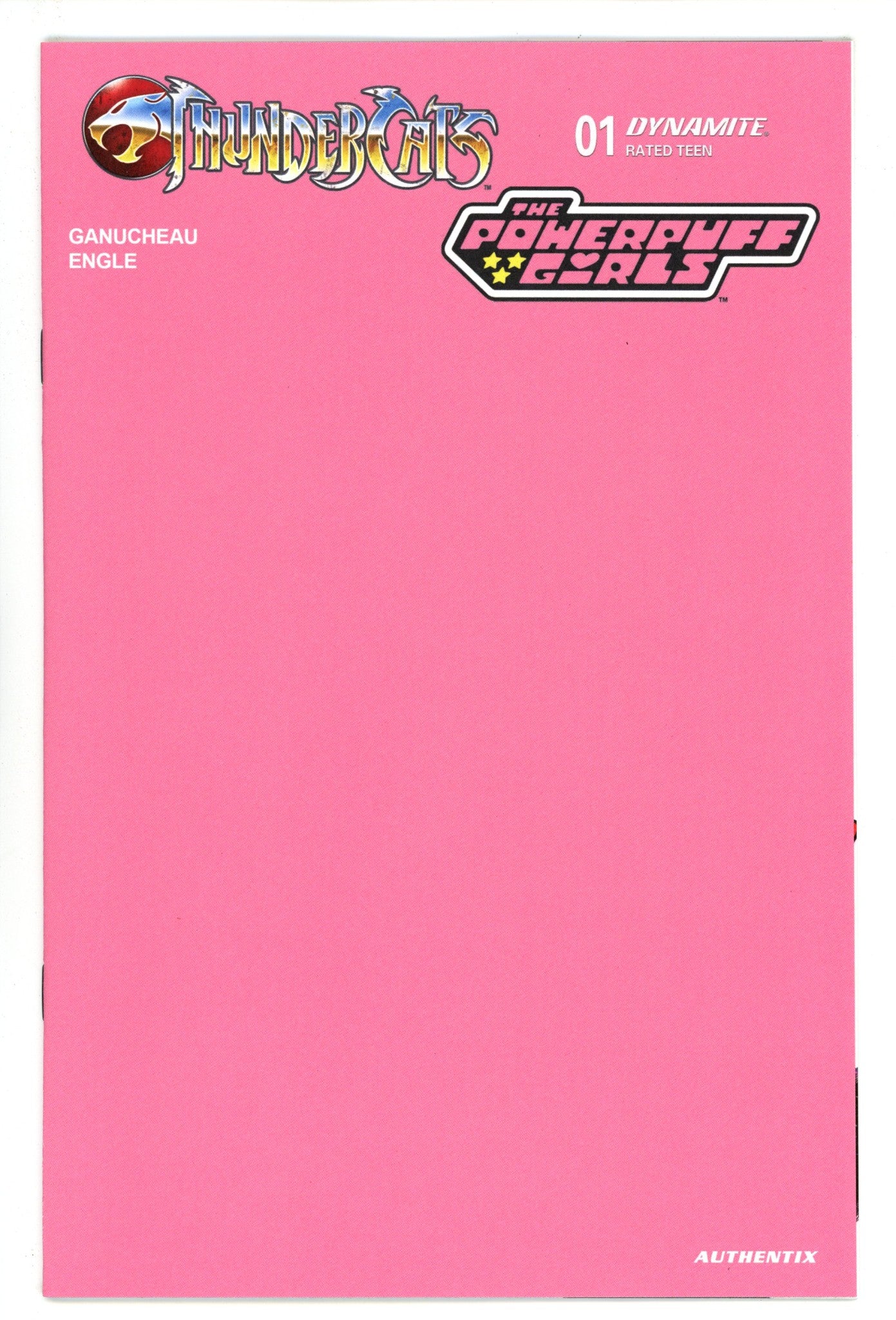 Thundercats Powerpuff Girls 1 Pink Blank Variant (2025)