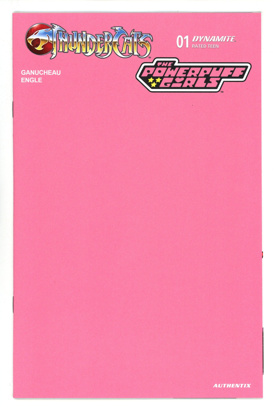 Thundercats Powerpuff Girls 1 Pink Blank Variant (2025)