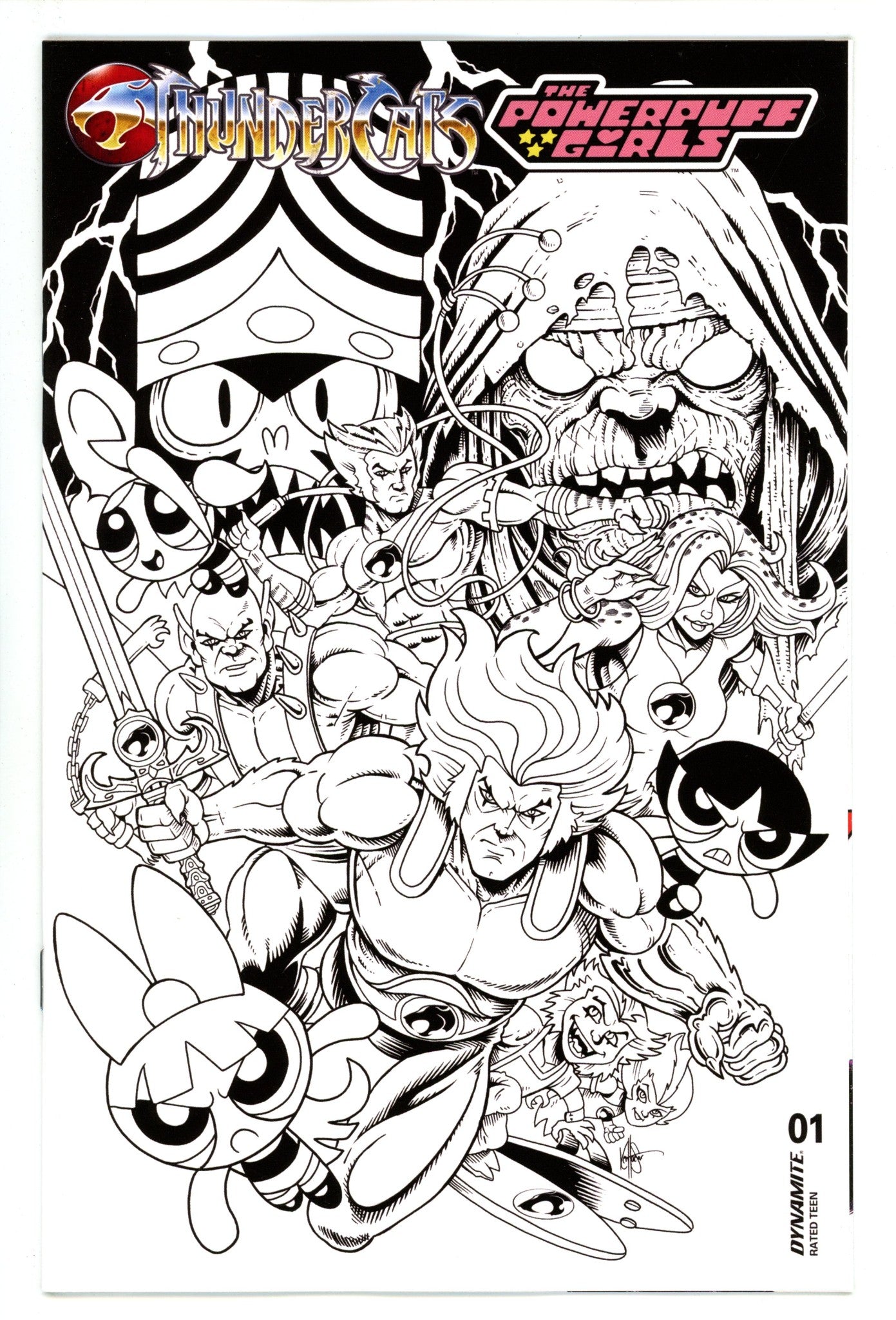 Thundercats Powerpuff Girls 1 Haeser B&W Incentive (2025)