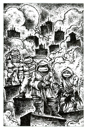 Teenage Mutant Ninja Turtles Vol 6 10 Eastman Virgin Incentive Variant NM (2025)