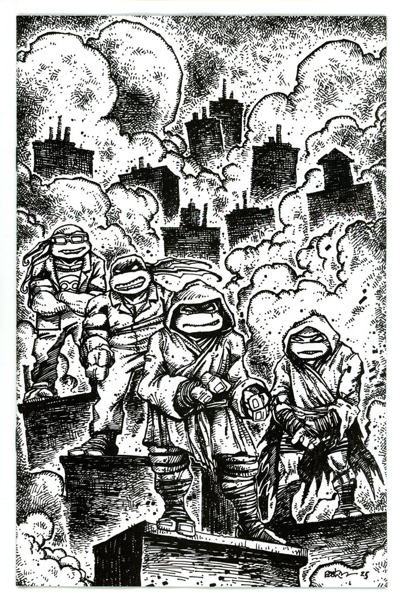 Teenage Mutant Ninja Turtles Vol 6 10 Eastman Virgin Incentive Variant NM (2025)