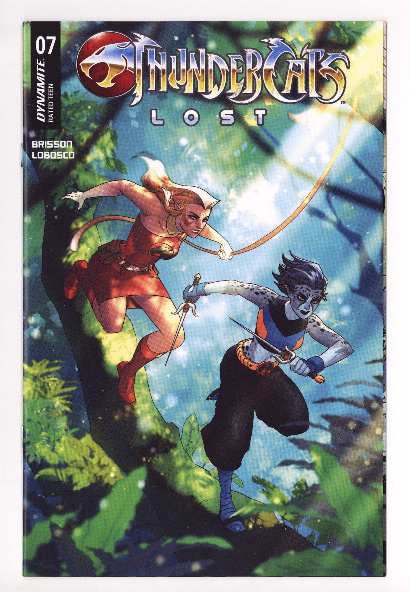 Thundercats Lost 7 Hetrick Variant (2025)