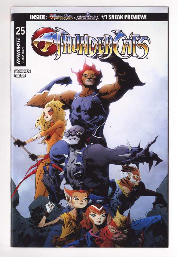 Thundercats 25 Lee Variant (2026)