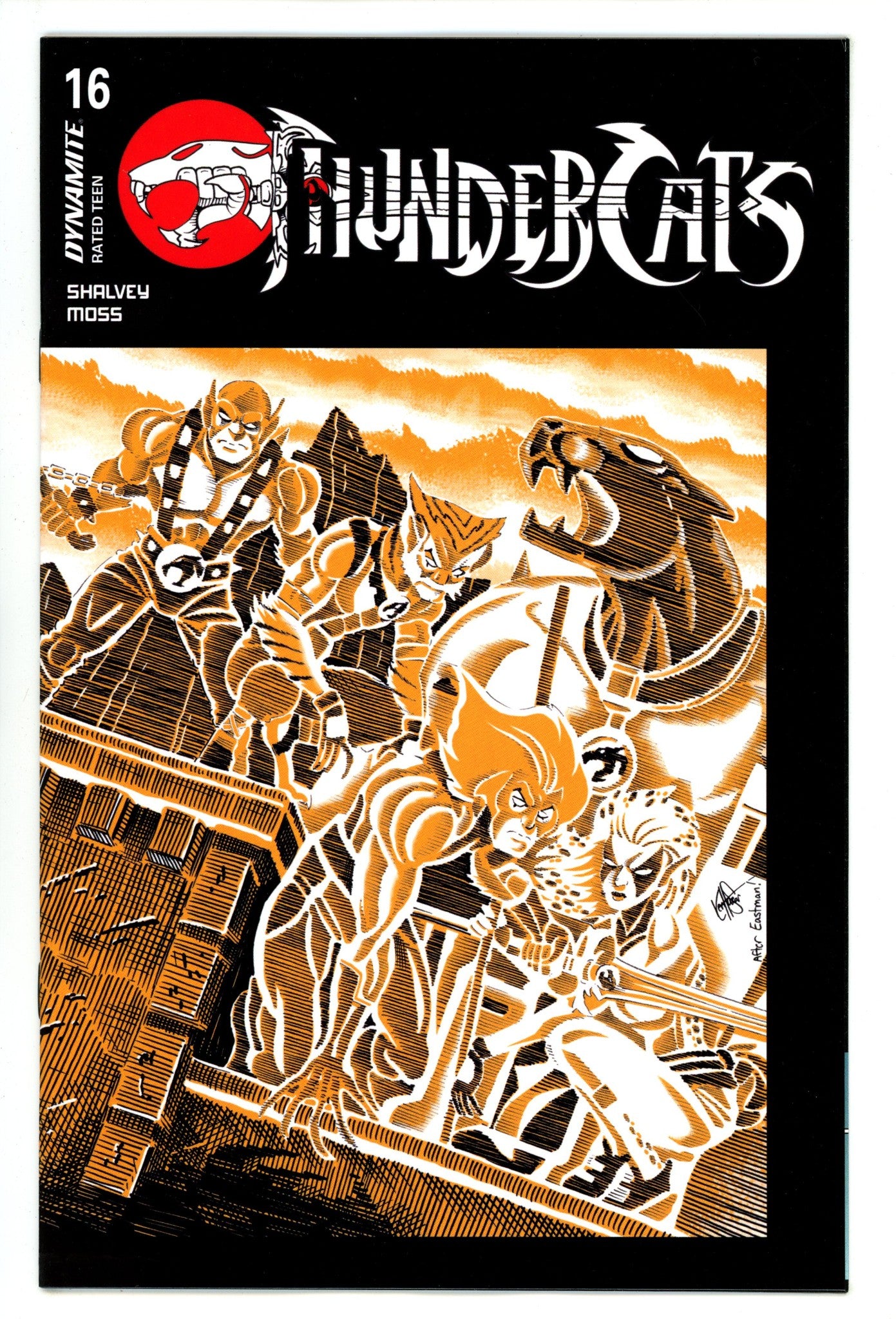 Thundercats 16 Haeser Homage Variant (2025)