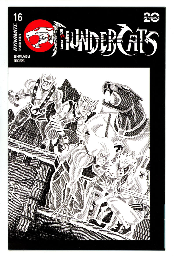 Thundercats 16 Haeser B&W Homage Incentive Variant (2025)