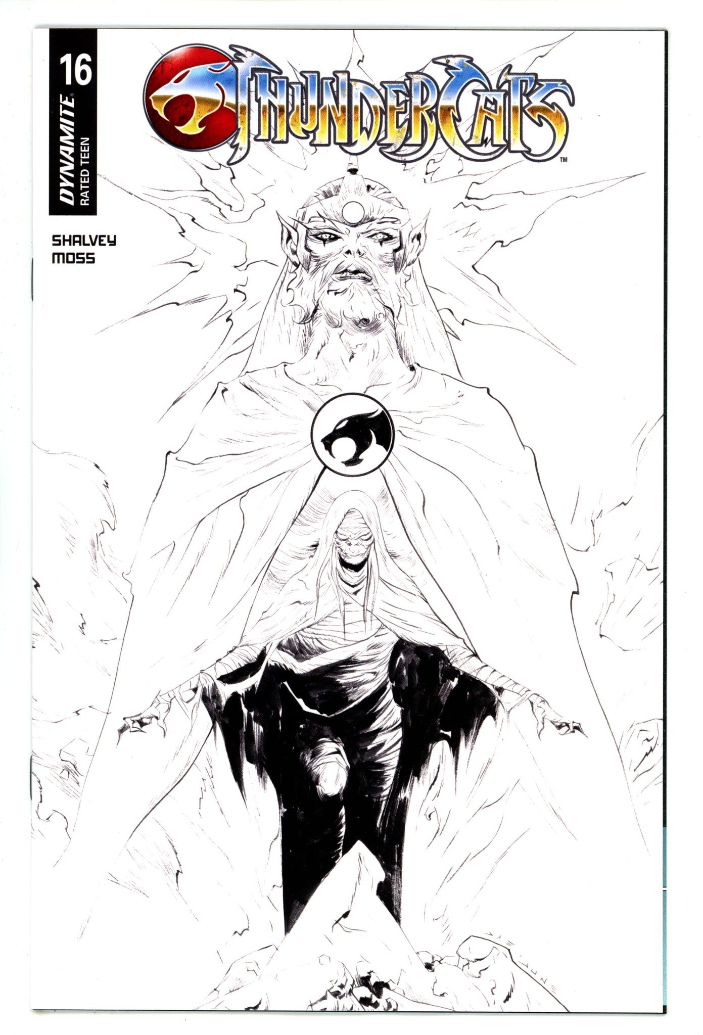 Thundercats 16 Lee B&W Variant (2025)