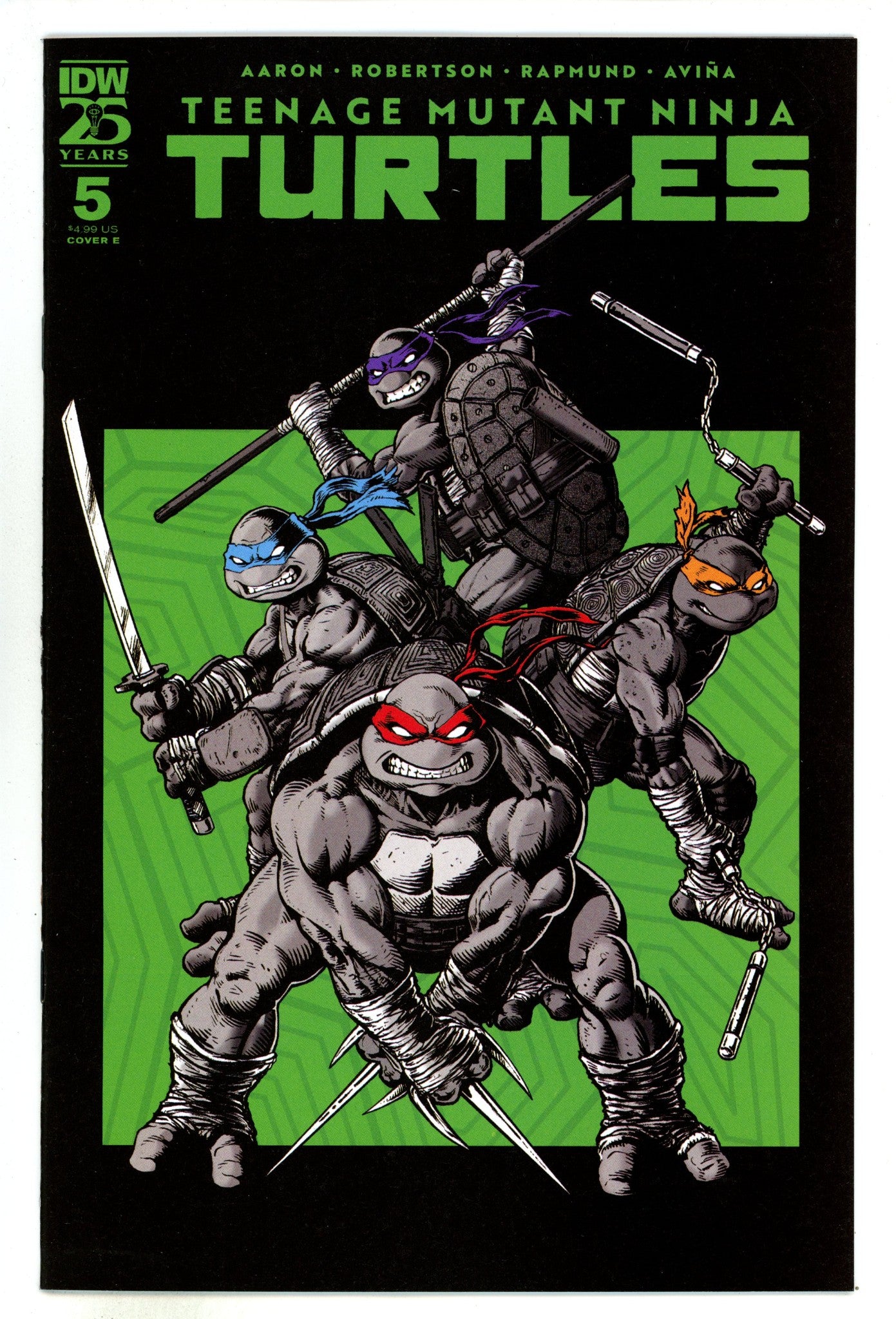 Teenage Mutant Ninja Turtles Vol 6 5 Robertson Variant (2024)