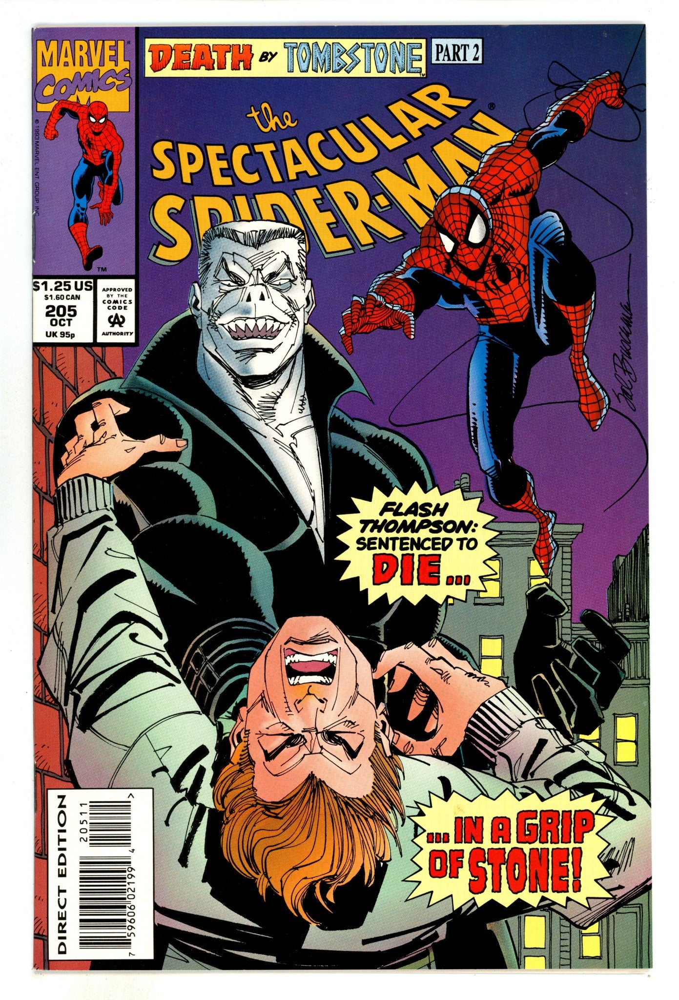 The Spectacular Spider-Man Vol 1 205 High Grade (1993) 