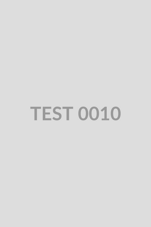 TEST QA Quarterly   4  Mid Grade   (2024)