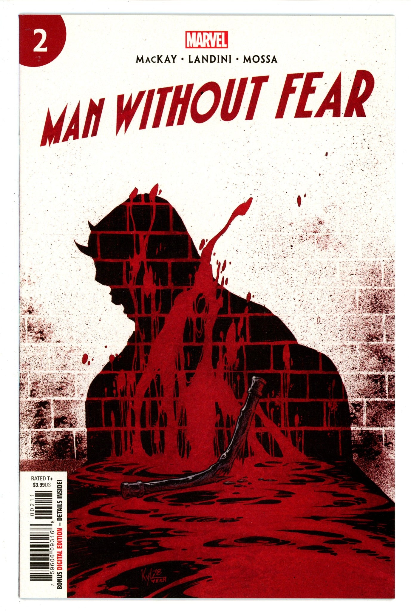 Man without Fear 2